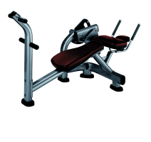 Life Fitness Abdominal Crunch Bench Life Fitness Abdominal Crunch Bench