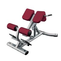 Life Fitness Back Extension Bench Life Fitness Back Extension Bench