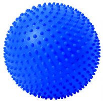 Spiky Catch Training Ball Spiky Catch Training Ball