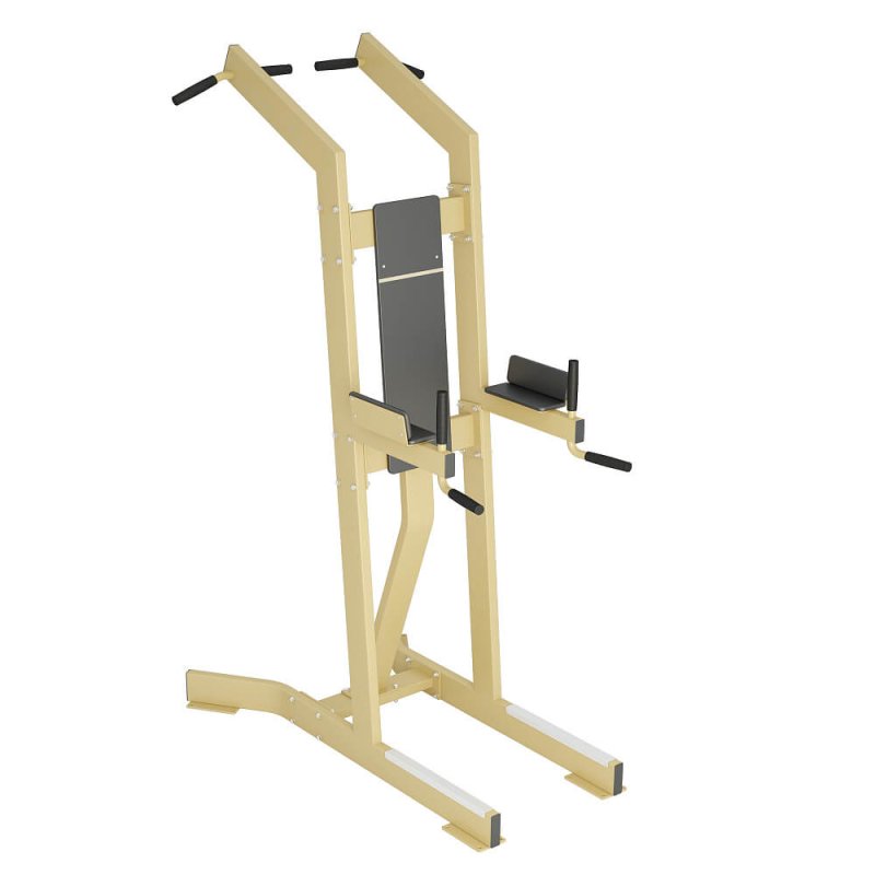 Assisted Pull-Up/Dip Trainer, InterAtletika