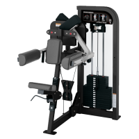 Hammer Strength Select Lateral Raise