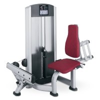 Life Fitness Signature Series Calf UFZCE Life Fitness Signature Series Calf UFZCE