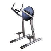 Life Fitness Leg Raise Life Fitness Leg Raise
