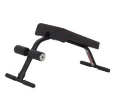 Mini-Crunch Bench Mini-Crunch Bench