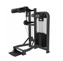 Hammer Strength Select Standing Calf Hammer Strength Select Standing Calf