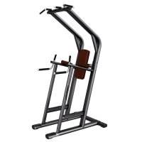 Life Fitness Leg Raise/Dip/Chin Life Fitness Leg Raise/Dip/Chin