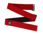 MYZONE MZ-3/MZ-1 Replacement Strap, different sizes