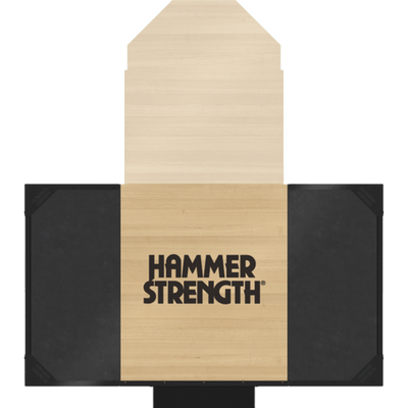 Hammer Strength 4X8 Platform, No Logo