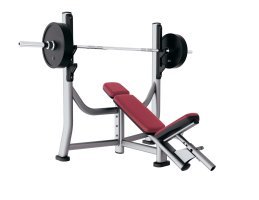 Life Fitness Olympic Incline Bench Life Fitness Olympic Incline Bench