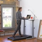 Lifespan Treadmill desk TR1200-DT7-38"