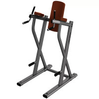 Life Fitness Leg Raise/Dip Life Fitness Leg Raise/Dip
