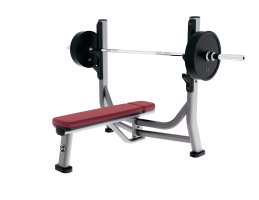 Life Fitness Olympic Flat Bench Life Fitness Olympic Flat Bench